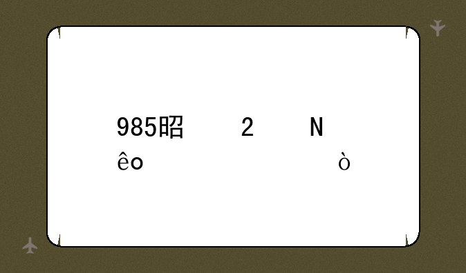 985是指哪些大学？