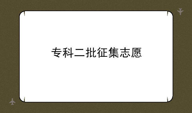 专科二批征集志愿