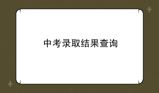 中考录取结果查询