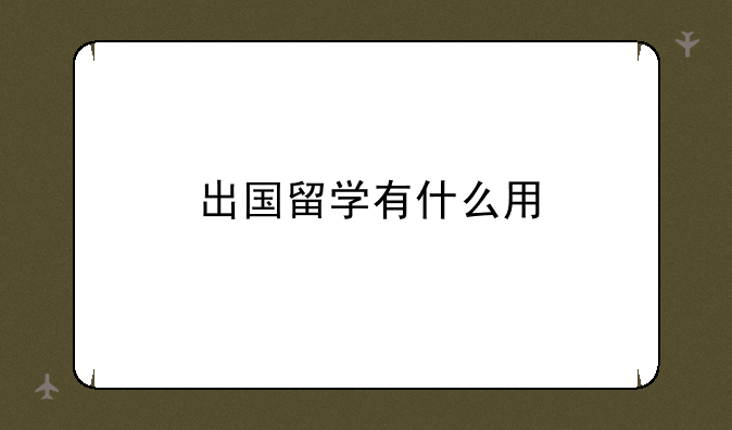出国留学有什么用