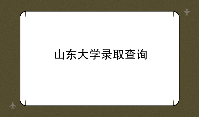 山东大学录取查询