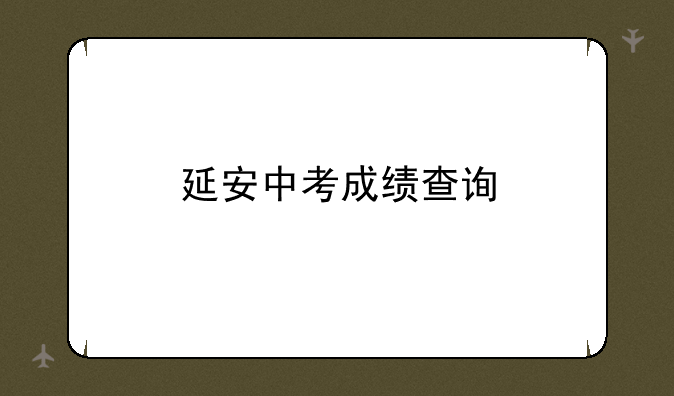 延安中考成绩查询