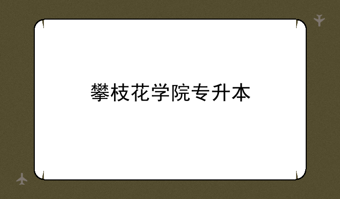 攀枝花学院专升本