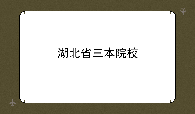 湖北省三本院校