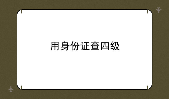 用身份证查四级