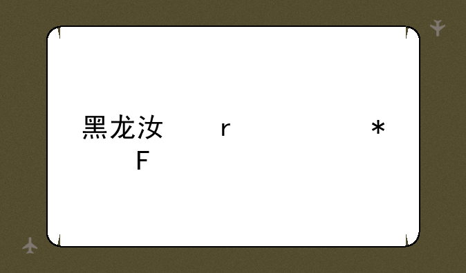 黑龙江省公务员