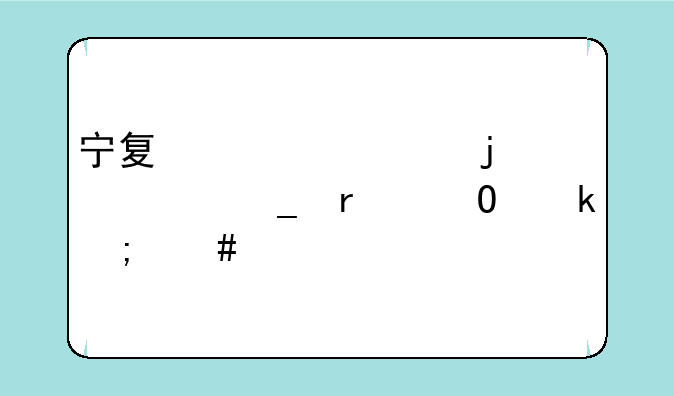 宁夏大学的计算机专业怎么样