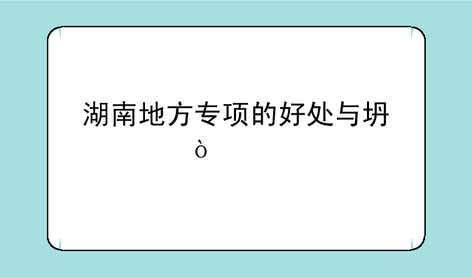 湖南地方专项的好处与坏处？