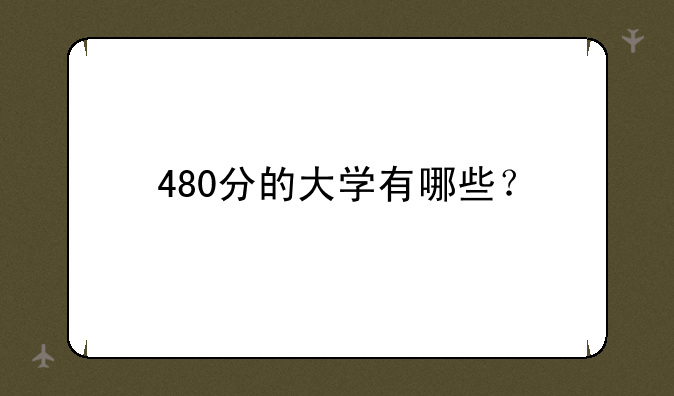 480分的大学有哪些？