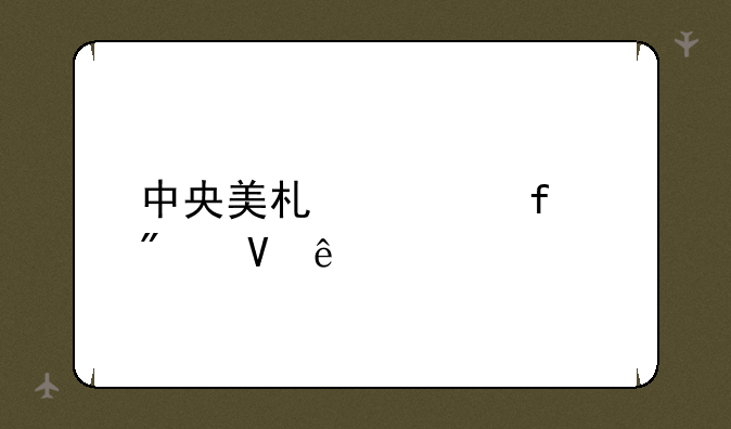 中央美术学院分数线