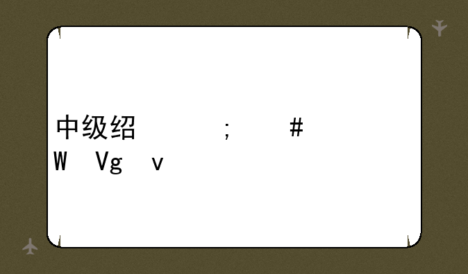 中级经济师考试教材