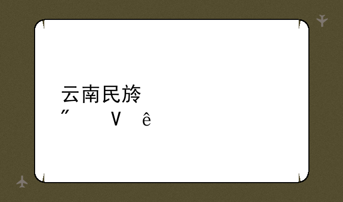 云南民族大学分数线