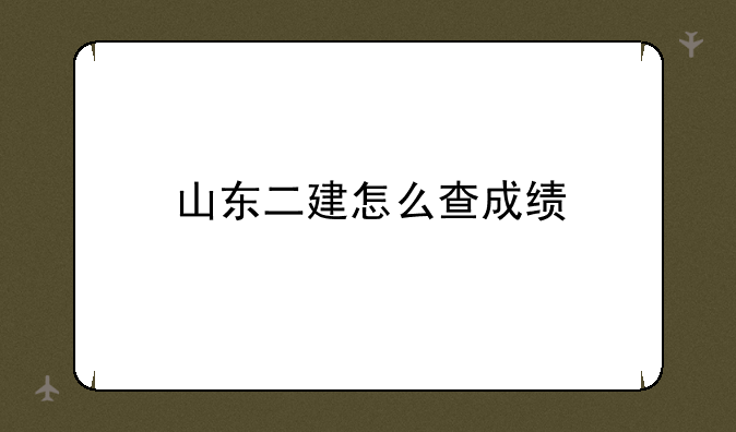 山东二建怎么查成绩