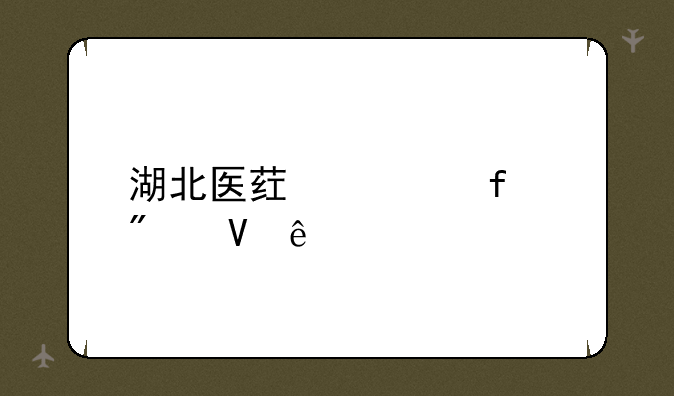 湖北医药学院分数线