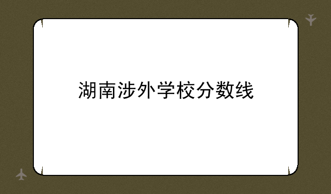 湖南涉外学校分数线