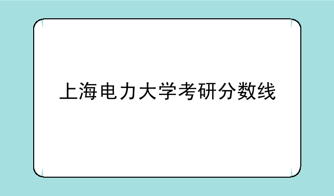 上海电力大学考研分数线