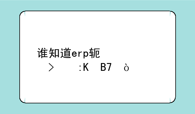 谁知道erp软件公司排名？