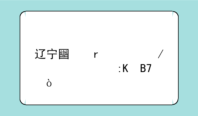 辽宁土木工程大学排名？