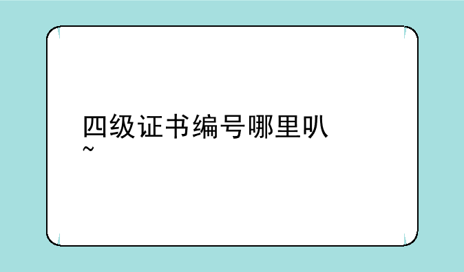 四级证书编号哪里可以查询