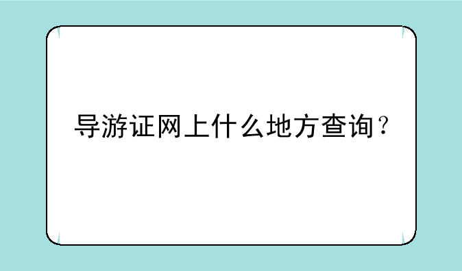 导游证网上什么地方查询？
