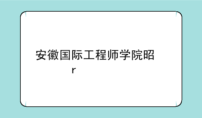 安徽国际工程师学院是几本