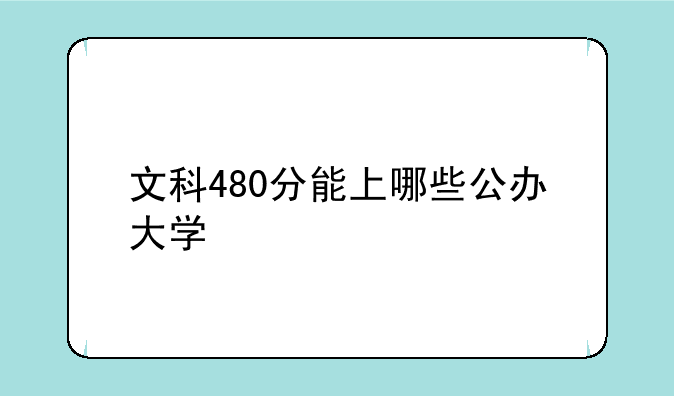 文科480分能上哪些公办大学