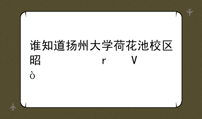 谁知道扬州大学荷花池校区是几本啊？