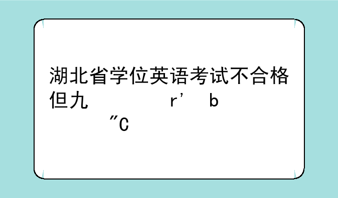 湖北省学位英语考试不合格但也没有显示成绩