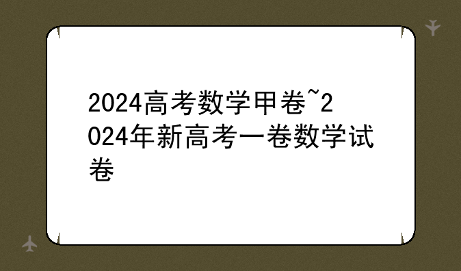 2024高考数学甲卷~2024年新高考一卷数学试卷