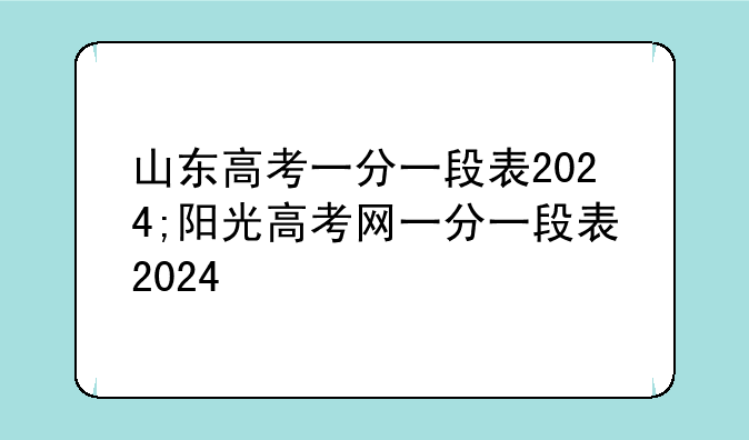 山东高考一分一段表2024;阳光高考网一分一段表2024